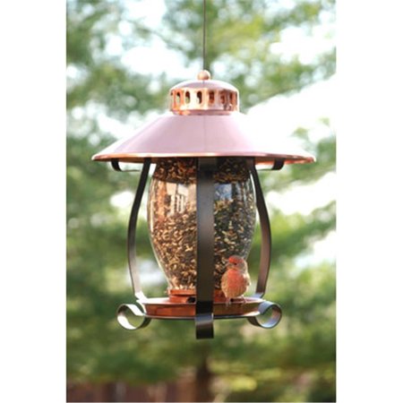 FANCY FELINE Brushed Copper Lantern Feeder FA598528